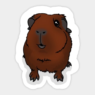 Red Guinea Pig Sticker